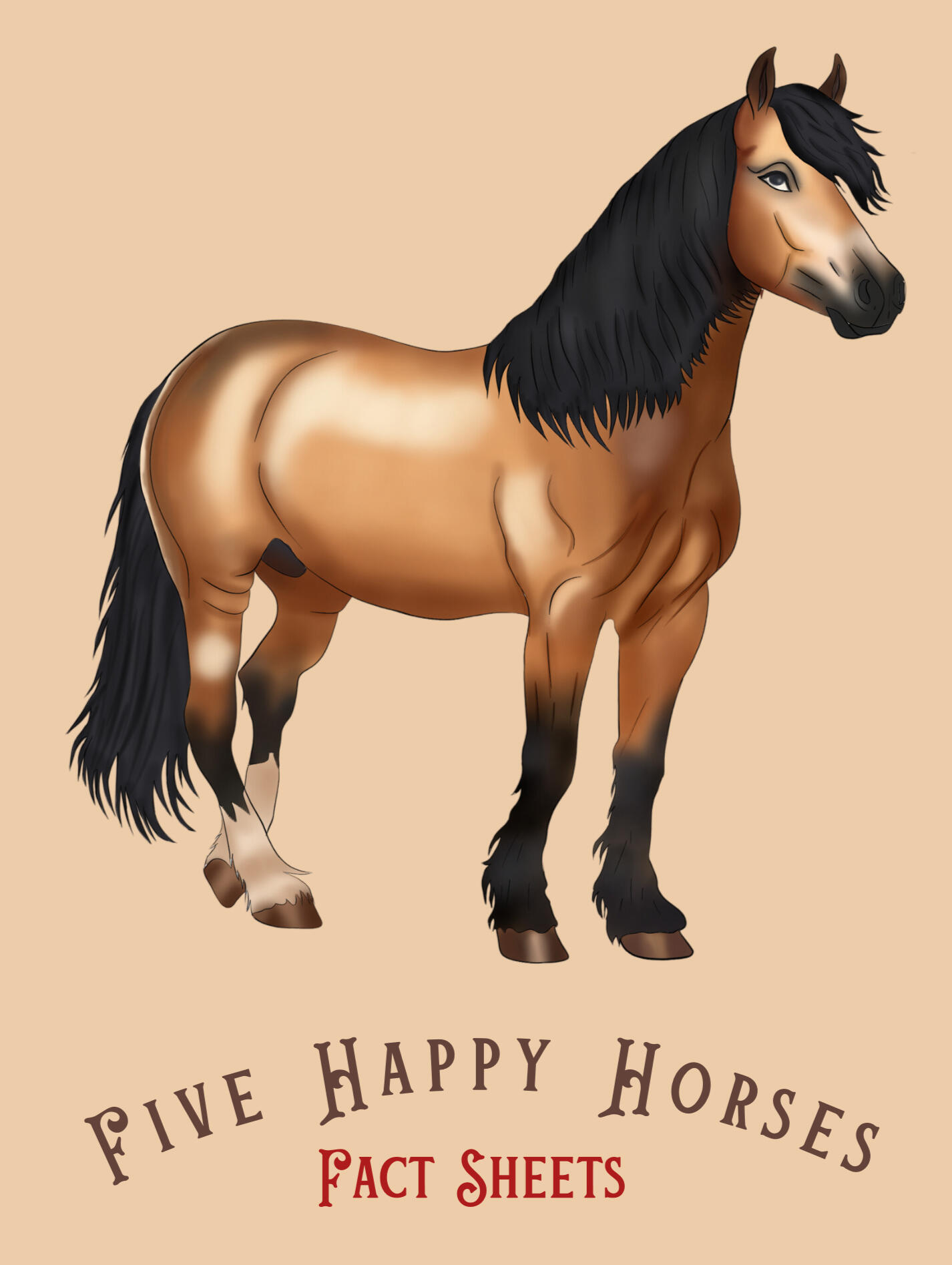 Five Happy Horses Fact Sheets